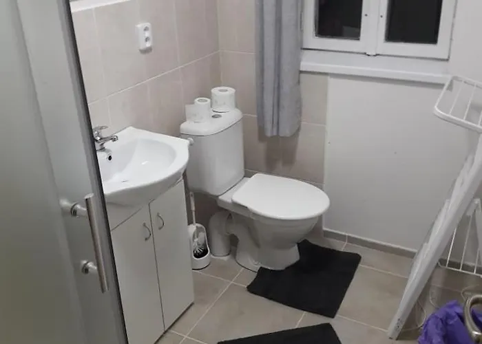 Guest house Pod Marianskou Horou Desna (Liberec)
